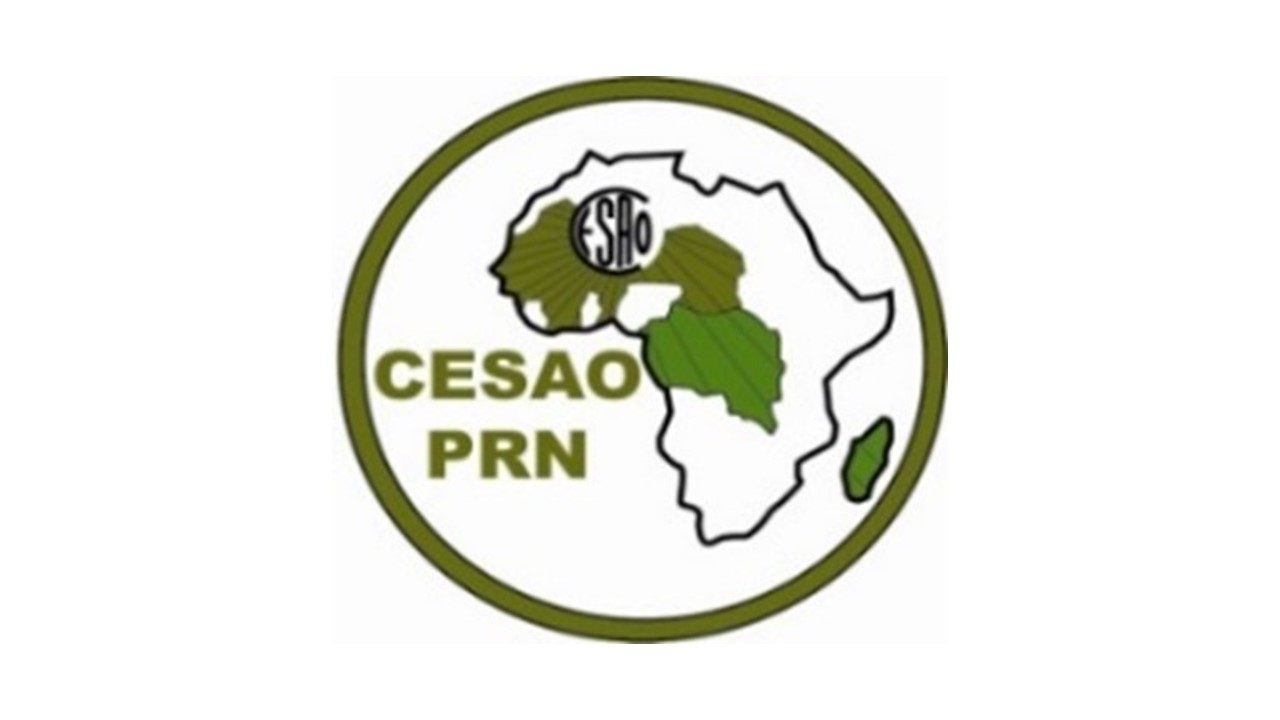 Logo CESAO